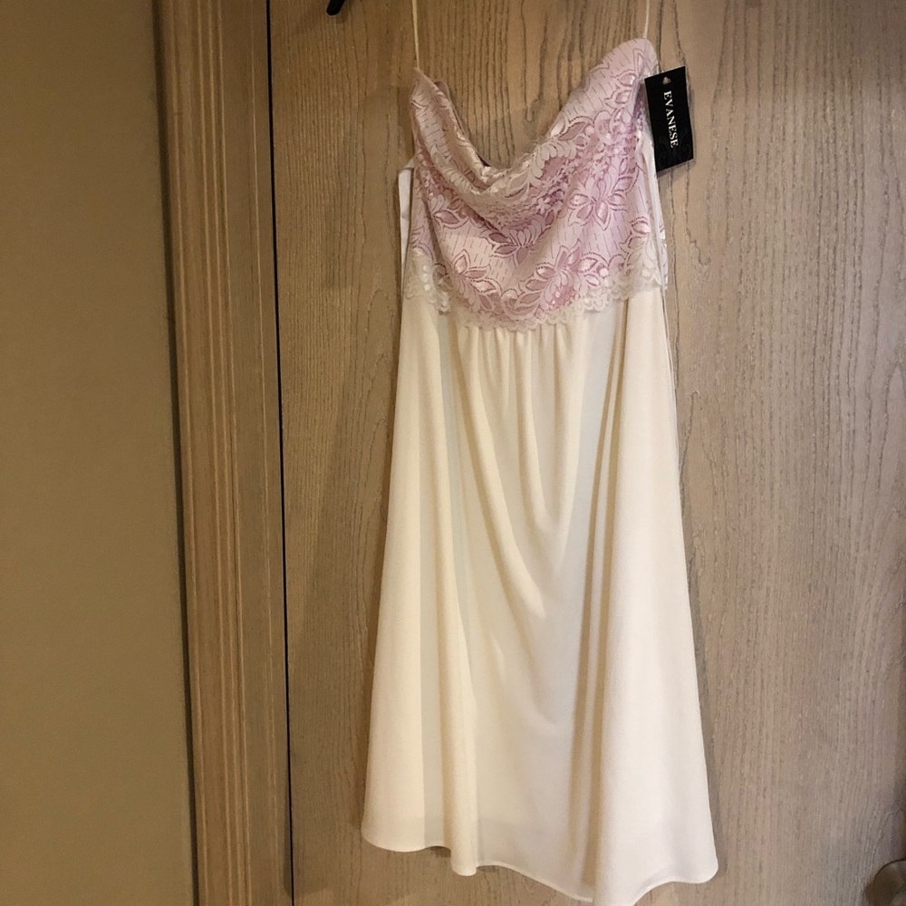Evanese Strapless Dress